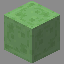 Slime Block