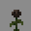 Wither Rose