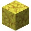 Horn Coral Block