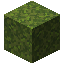 Moss Block